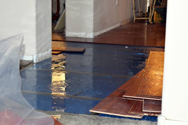Professional Basement Flood Cleanup technician working in Salina, KS